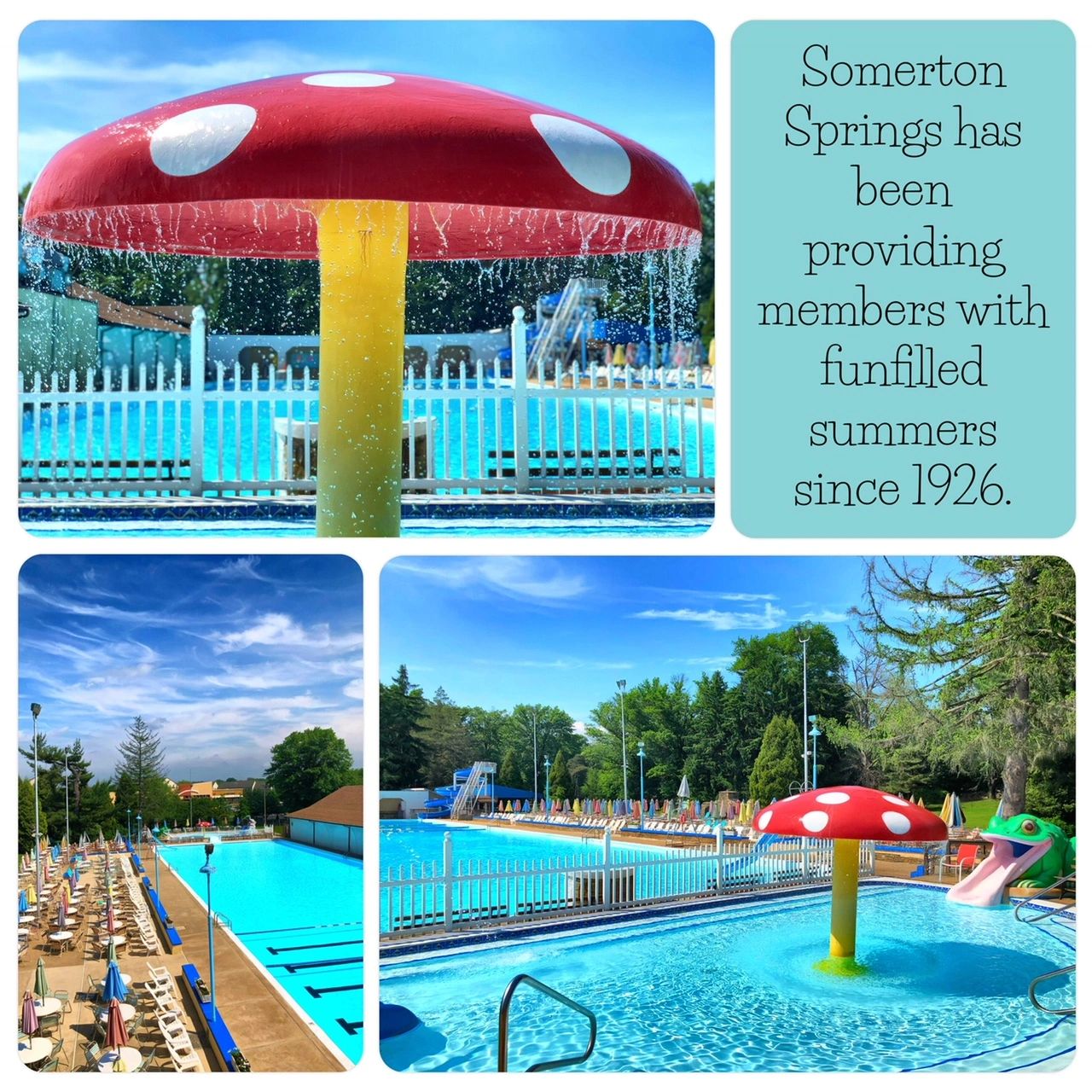 Contact Somerton Springs Swim Club